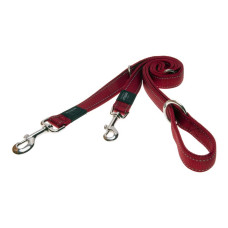 Fanbelt multi-purpose lead red reflective